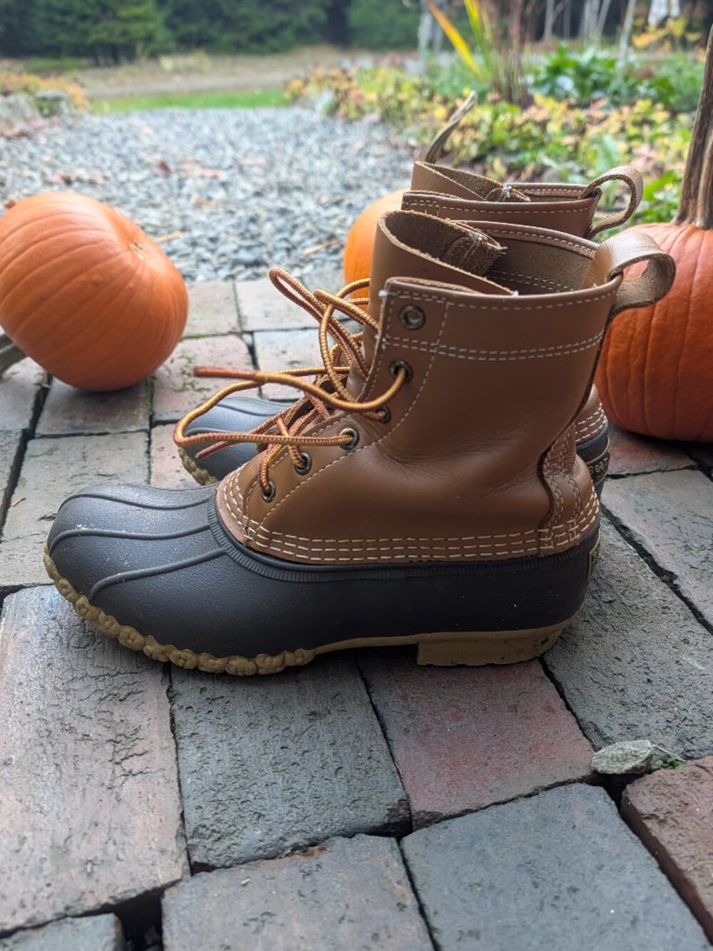 Classic LL Bean Boot - 8" and size 8